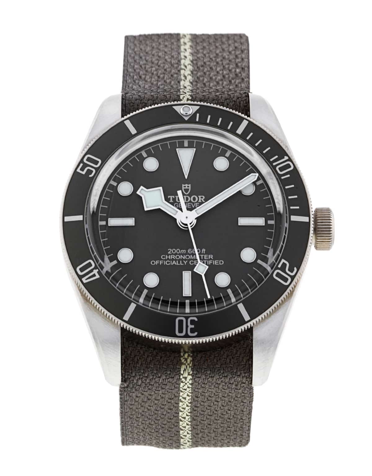 Tudor Black Bay M79010SG-0002